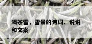 喝茶雪，雪景的诗词、说说和文案