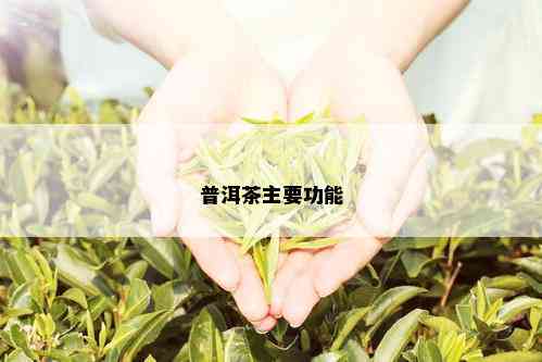 普洱茶主要功能