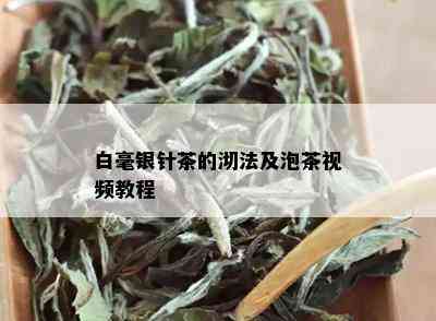 白毫银针茶的沏法及泡茶视频教程