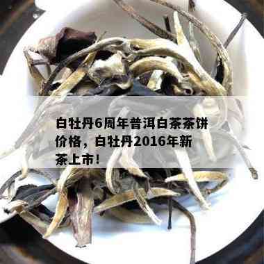 白牡丹6周年普洱白茶茶饼价格，白牡丹2016年新茶上市！