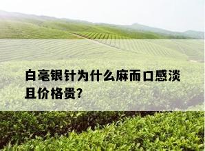 白毫银针为什么麻而口感淡且价格贵？