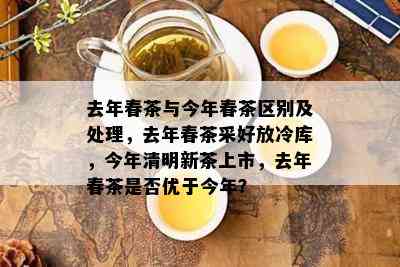 去年春茶与今年春茶区别及处理，去年春茶采好放冷库，今年清明新茶上市，去年春茶是否优于今年？