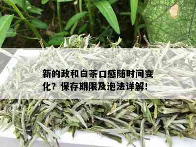 新的政和白茶口感随时间变化？保存期限及泡法详解！