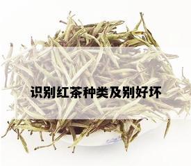 识别红茶种类及别好坏