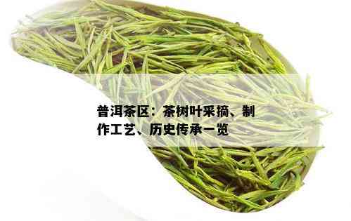 普洱茶区：茶树叶采摘、制作工艺、历史传承一览