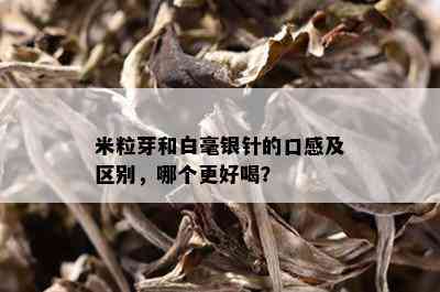 米粒芽和白毫银针的口感及区别，哪个更好喝？