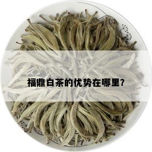 福鼎白茶的优势在哪里？