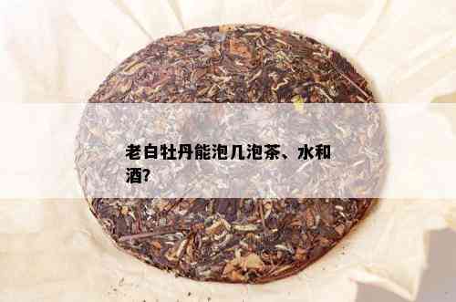 老白牡丹能泡几泡茶、水和？