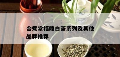 合煮堂福鼎白茶系列及其他品牌推荐