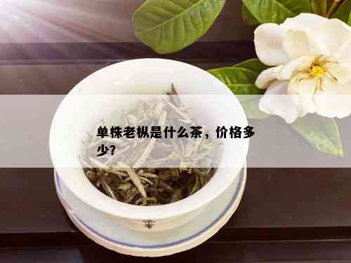 单株老枞是什么茶，价格多少？