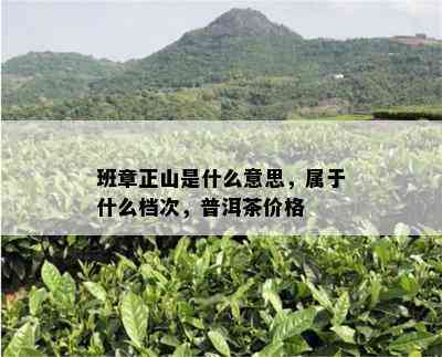 班章正山是什么意思，属于什么档次，普洱茶价格