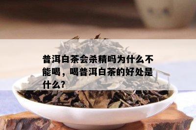 普洱白茶会杀精吗为什么不能喝，喝普洱白茶的好处是什么？