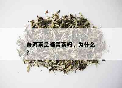 普洱茶是晒青茶吗，为什么？