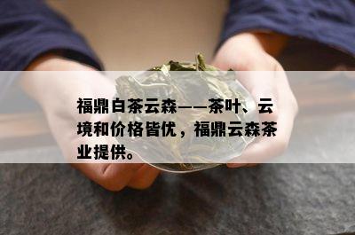 福鼎白茶云森——茶叶、云境和价格皆优，福鼎云森茶业提供。