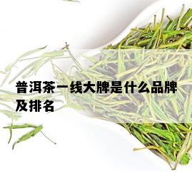 普洱茶一线大牌是什么品牌及排名