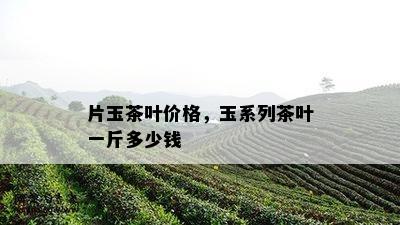 片玉茶叶价格，玉系列茶叶一斤多少钱