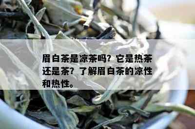 眉白茶是凉茶吗？它是热茶还是茶？了解眉白茶的凉性和热性。