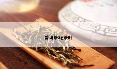 普洱茶2g茶叶