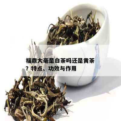 福鼎大毫是白茶吗还是黄茶？特点、功效与作用