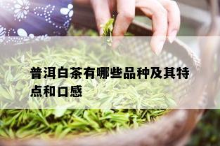 普洱白茶有哪些品种及其特点和口感