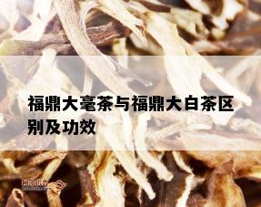 福鼎大毫茶与福鼎大白茶区别及功效