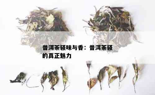 普洱茶骚味与香：普洱茶骚的真正魅力