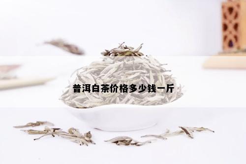 普洱白茶价格多少钱一斤