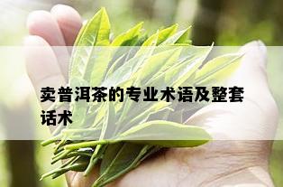 卖普洱茶的专业术语及整套话术