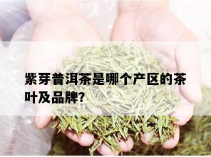 紫芽普洱茶是哪个产区的茶叶及品牌？