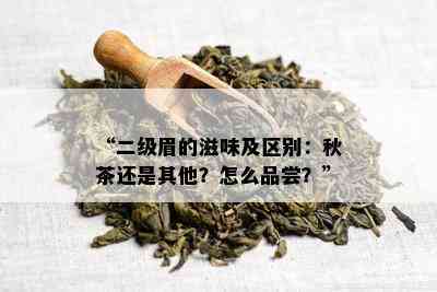 “二级眉的滋味及区别：秋茶还是其他？怎么品尝？”