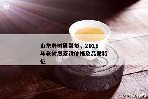 山东老树眉到货，2016年老树眉茶饼价格及品质特征