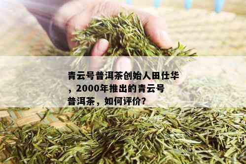 青云号普洱茶创始人田仕华，2000年推出的青云号普洱茶，如何评价？