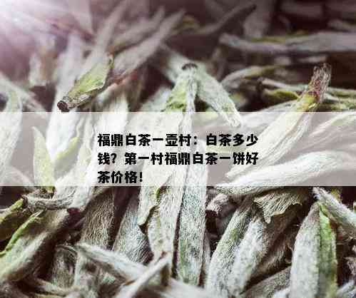 福鼎白茶一壶村：白茶多少钱？之一村福鼎白茶一饼好茶价格！