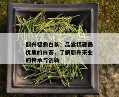 朋升福鼎白茶：品尝福建更优质的白茶，了解朋升茶业的传承与创新