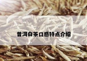 普洱白茶口感特点介绍