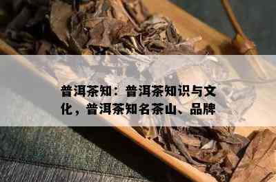 普洱茶知：普洱茶知识与文化，普洱茶知名茶山、品牌