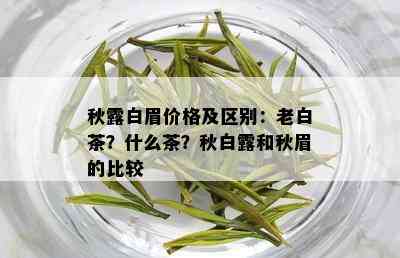 秋露白眉价格及区别：老白茶？什么茶？秋白露和秋眉的比较