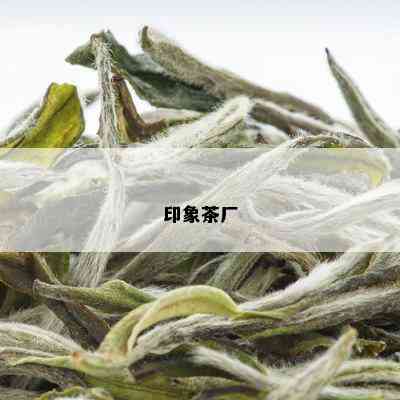 印象茶厂