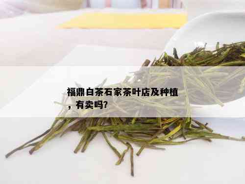 福鼎白茶石家茶叶店及种植，有卖吗？