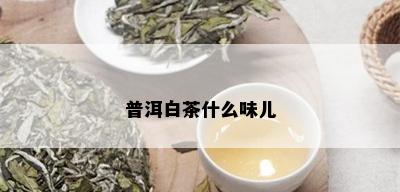 普洱白茶什么味儿