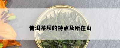 普洱茶坝的特点及所在山