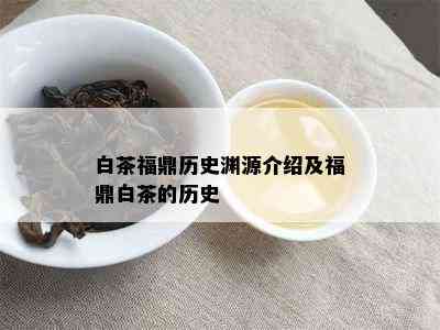 白茶福鼎历史渊源介绍及福鼎白茶的历史