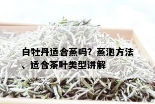 白牡丹适合蒸吗？蒸泡方法、适合茶叶类型讲解