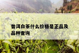 普洱白茶什么价格是正品及品种查询