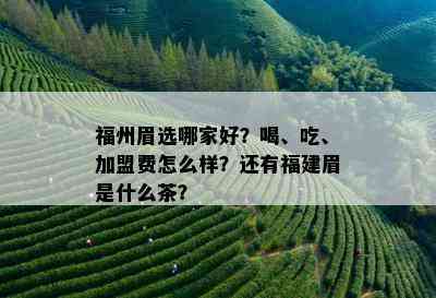 福州眉选哪家好？喝、吃、加盟费怎么样？还有福建眉是什么茶？