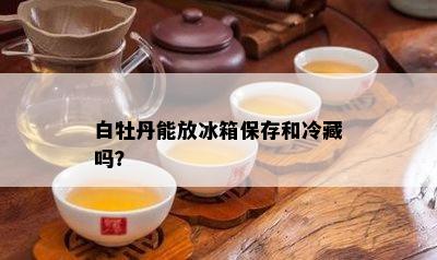 白牡丹能放冰箱保存和冷藏吗？