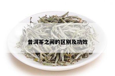 普洱茶之间的区别及功效