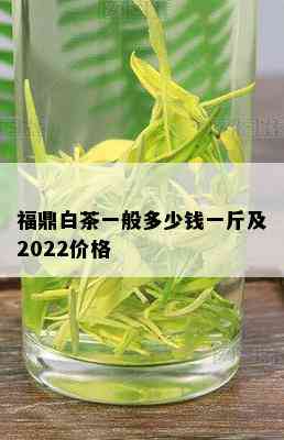 福鼎白茶一般多少钱一斤及2022价格