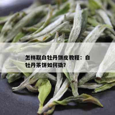 怎样取白牡丹饼皮教程：白牡丹茶饼如何撬？