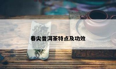 春尖普洱茶特点及功效